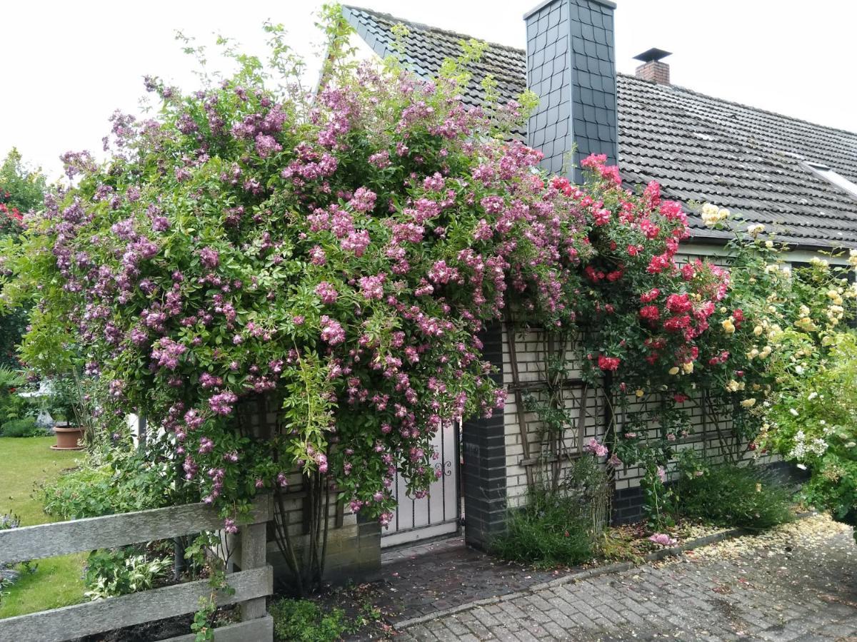 Haus Sielblick Apartment Schillig Exterior foto